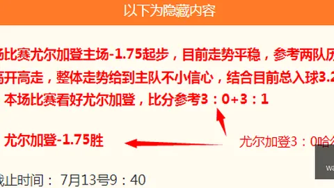 里斯蒂奇点评：外援表现引争议，泰山队外援实力分析